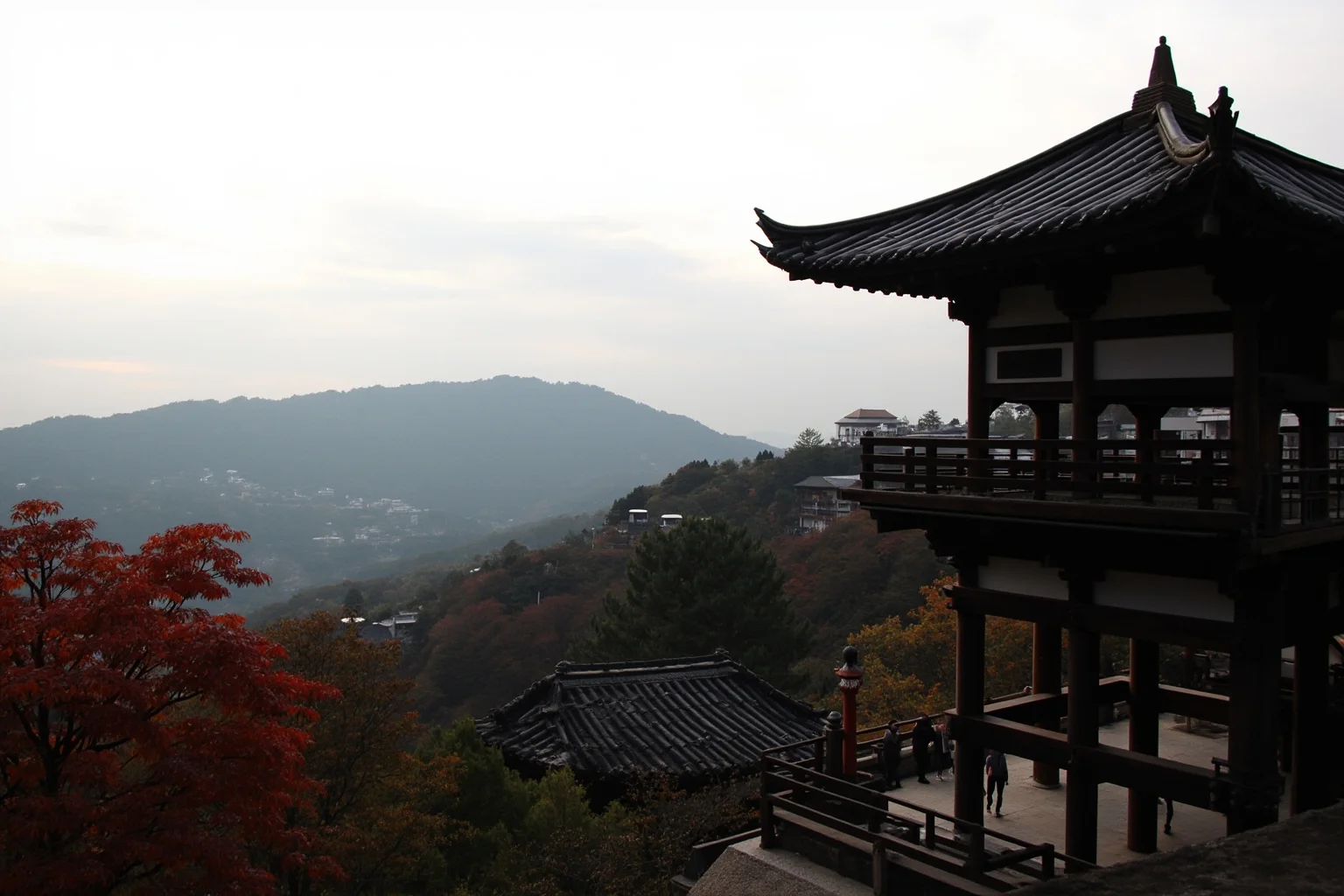Kiyomizu-dera's wooden stage above autumn maples in Kyoto, Japan, soft overcast light