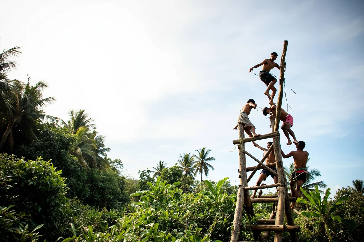 Men leaping from a tall wooden tower with vines tied to their ankles on Pentecost Island, Vanuatu, lush tropical backdrop