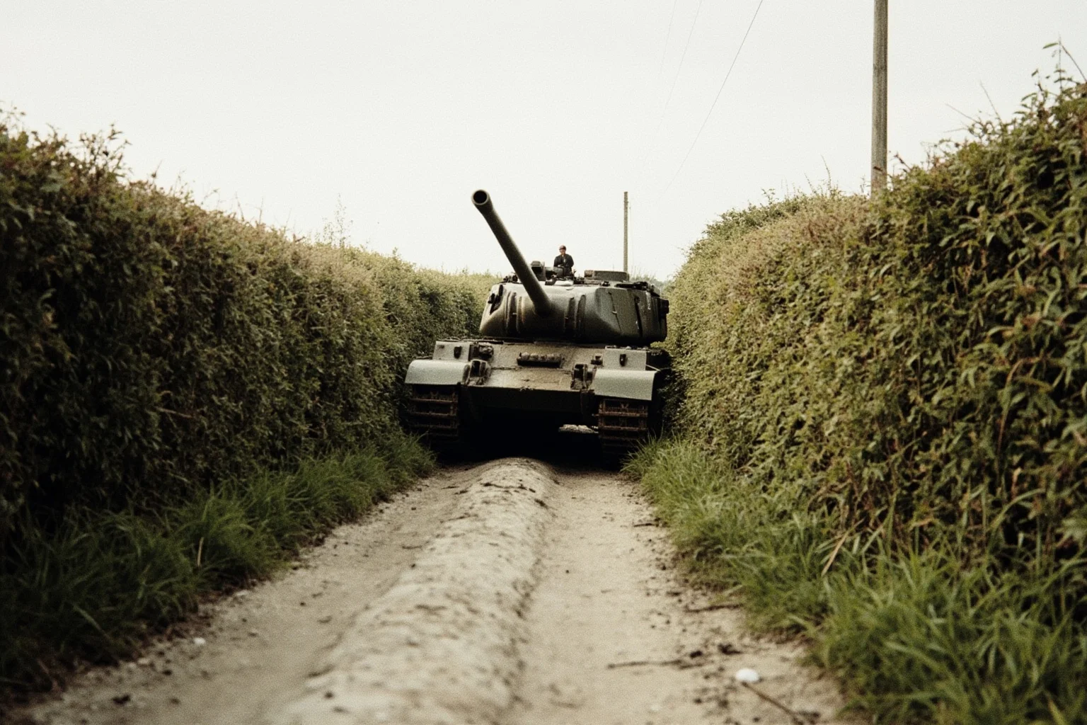 The Turning Point? 20 Facts About the Battle of Normandy 14 Narrow Norman lane lined with tall thick hedgerows with a tank fitted with steel prongs pushing through a bank, WWII illustration
