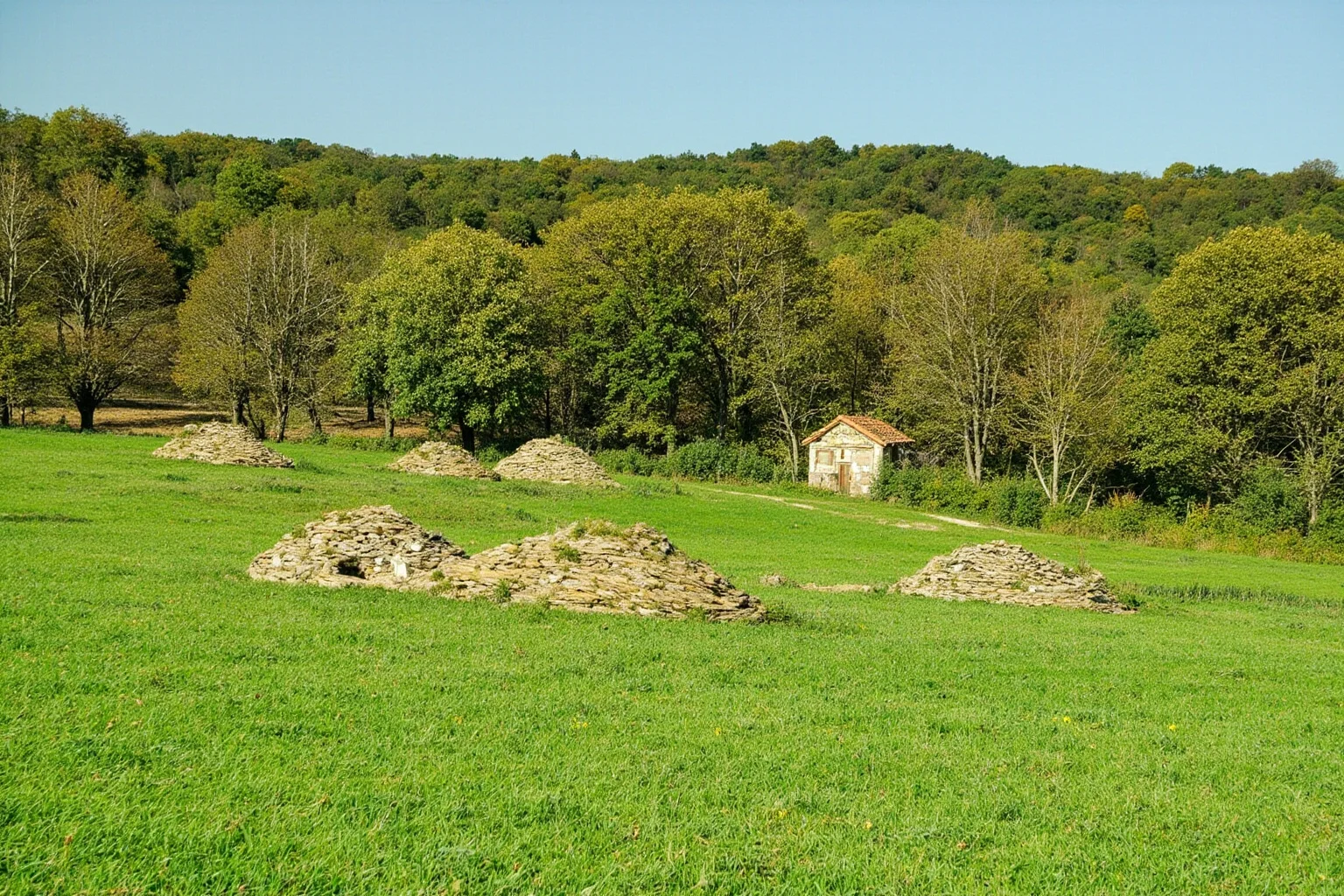 22 Oldest Monuments Found Around the World 5 Neolithic burial mounds of the Tumulus of Bougon complex in western France, showing multiple earthen tumuli in a green field