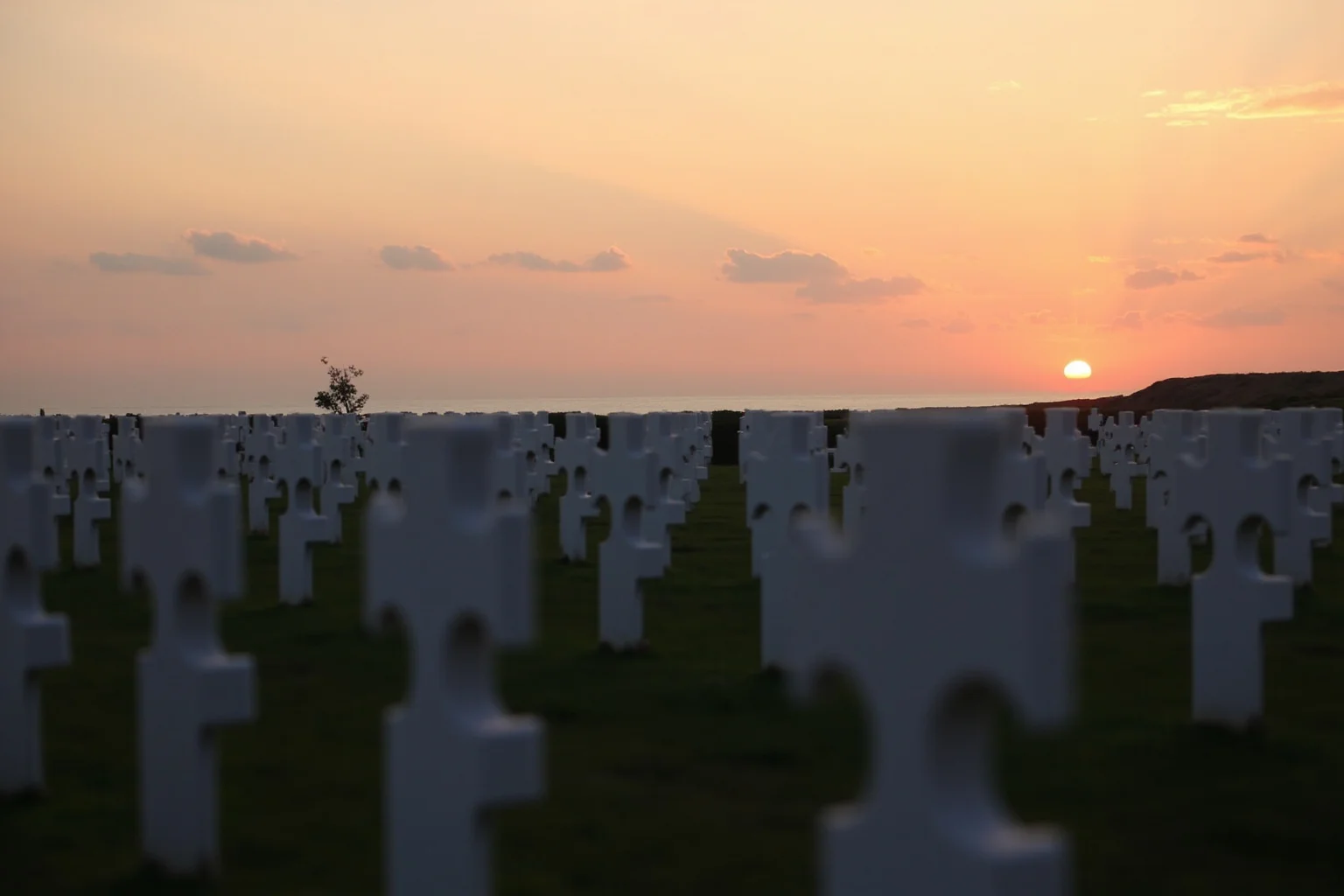 The Turning Point? 20 Facts About the Battle of Normandy 12 Quiet rows of white crosses at a Normandy cemetery at sunset overlooking the sea, respectful and solemn